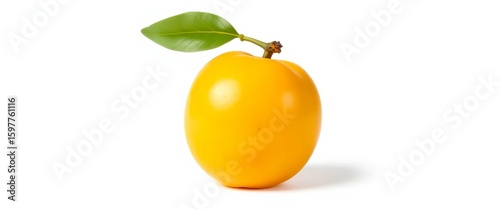 Single ripe yellow-gold Mirabelle plum, smooth skin, isolated on white,  gastronomy,  botany