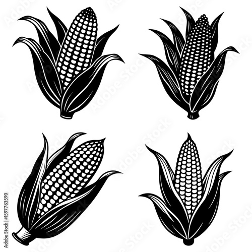 Four monochrome corn cobs with husks in varying orientations on a white background illustration style