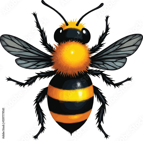 Vector art of a realistic illustration of a fuzzy bumblebee with detailed features, isolated on white background