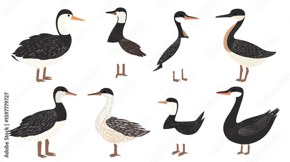 Obraz premium Set of grebe bird silhouettes in various poses, featuring streamlined bodies and distinctive head shapes, perfect for wildlife, waterfowl, nature, birdwatching, and animal vector design concepts 
