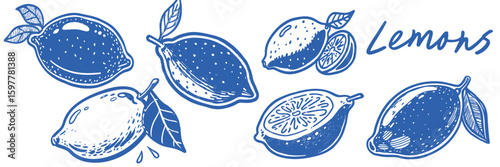 Hand drawn lemon doodle icon set. Summer cute drawings