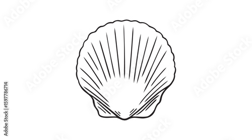 Elegant scallop shell hand drawing doodle icon. Coastal engraving clipart, sea themed element with rounded edges. Vintage line art beach shell perfect for logos, patterns.