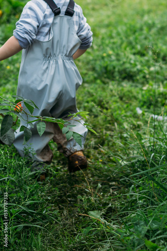 A little boy in a gray-blue bib overalls and yellow rubber boots runs around the garden after the rain. Early physical development of the child