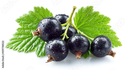 Black currant berries with leaves on a white background, top view isolated. Black berry fruits for healthy eating and skin care concepts.