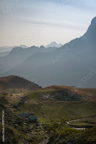 Foggy Pyrénées Landscape with Grazing Sheep 