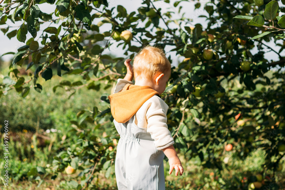 A red-haired little boy holds a branch of an apple tree with his hand and looks into the distance A red-haired little boy holds a branch of an apple tree with his hand and looks into the distance