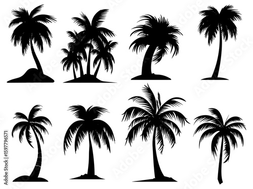 Palm Tree Silhoutte