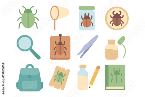 Bug collection essentials vector illustration for educational design in flat style