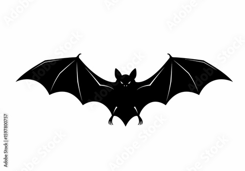 The Chiroptera Order of Mammals Understanding Their Diverse Adaptations and Nocturnal Lifestyles