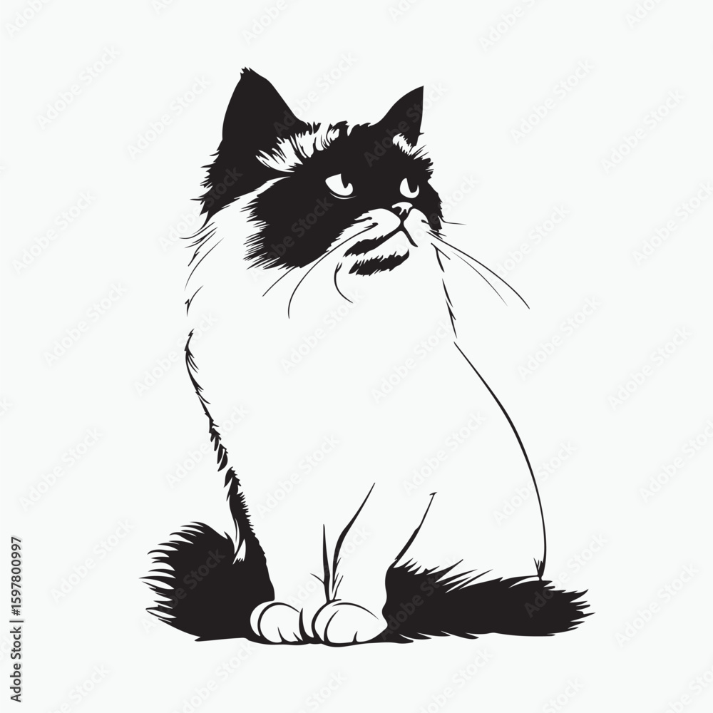 Obraz premium black and white cat
