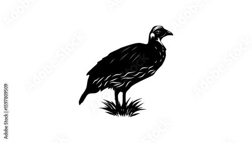 Djibouti Spurfowl bird, black isolated silhouette