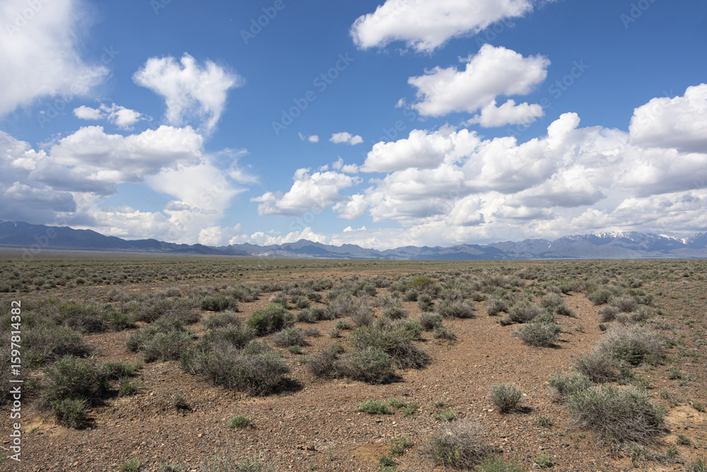 Spring steppe landscape in Kazakhstan, dry grass, distant mountains, partly cloudy sky, natural wilderness Spring steppe landscape in Kazakhstan, dry grass, distant mountains, partly cloudy sky, natural wilderness
