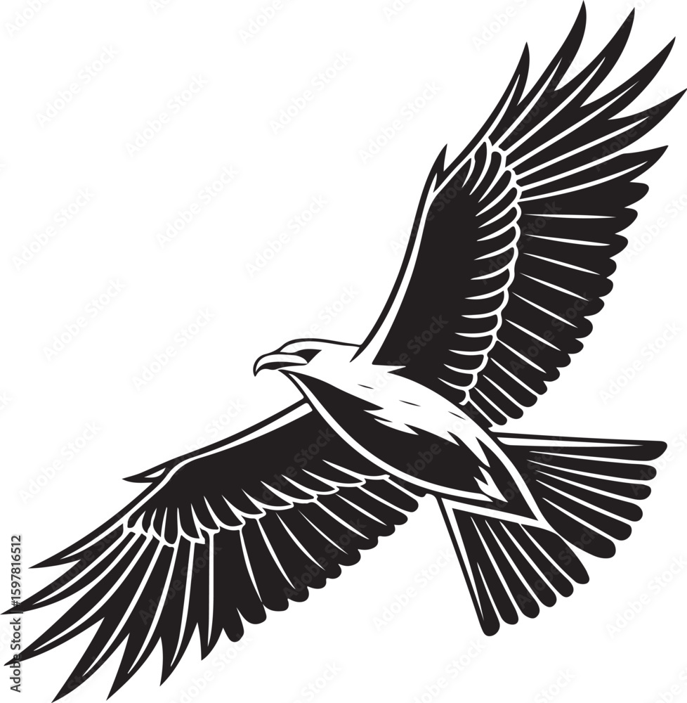 Fototapeta premium Black and White Silhouette of a Flying Seagull Bird Illustration Isolated on White Background