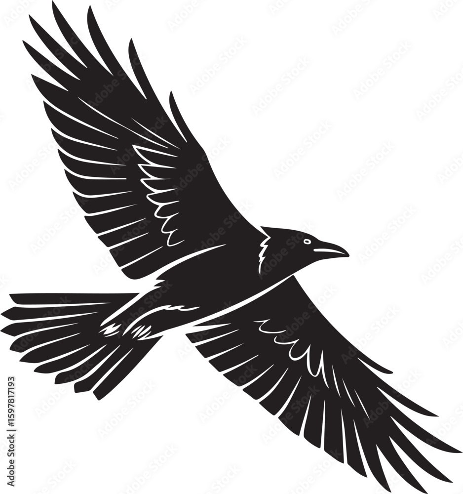 Obraz premium Black and White Silhouette of a Flying Seagull Bird Illustration Isolated on White Background
