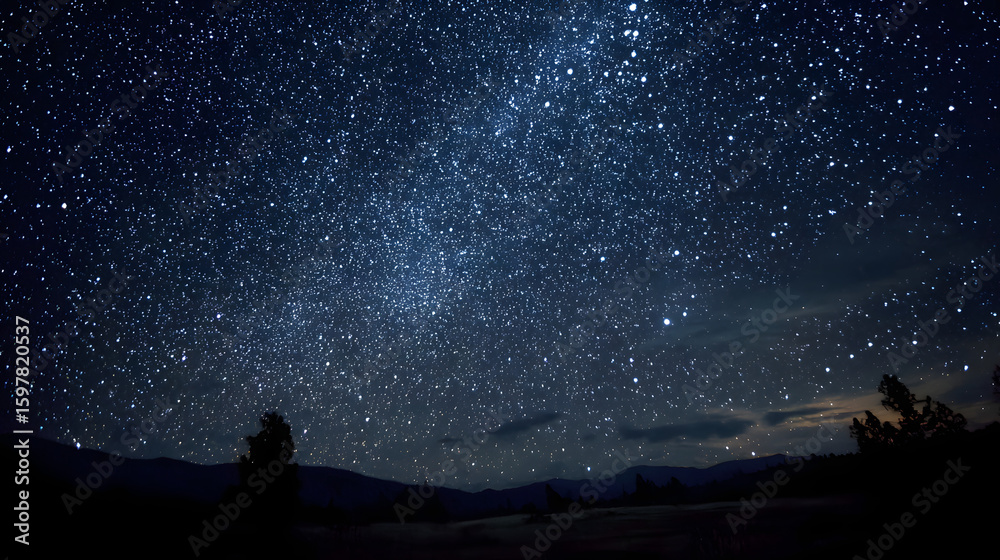 Fototapeta premium night sky with stars