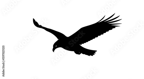 Eagle Gliding High in Hunting Stance