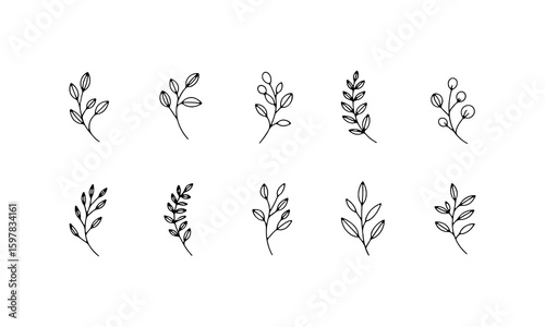 Vintage Botanical Etching Set. A series of botanical illustrations inspired by antique etchings, with fine lines and historical elegance.