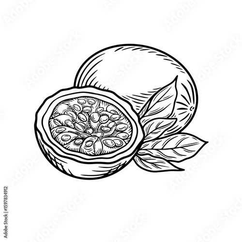 hand drawn vector illustration of an passion fruit with transparent background for websites, prints, packaging, postcards, posters, design