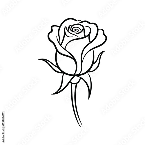 Elegant black and white rose line art flower bloom