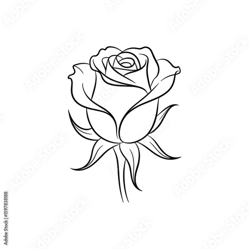 Elegant rose bloom with delicate petals and leaves flower