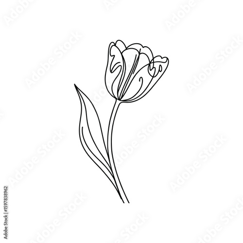 Elegant single line art tulip flower with leaf floral bloom