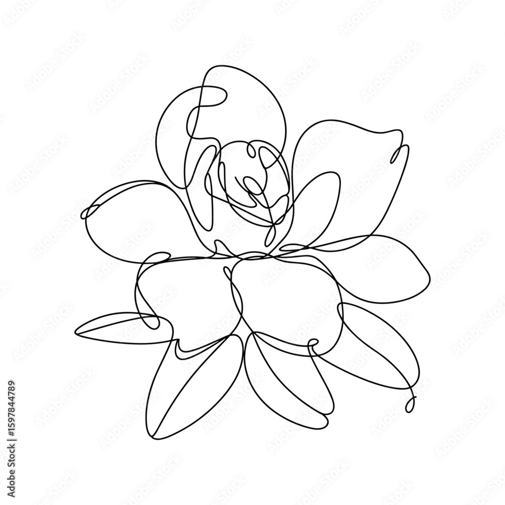 Obraz premium Delicate continuous line drawing of a blooming flower petals line art