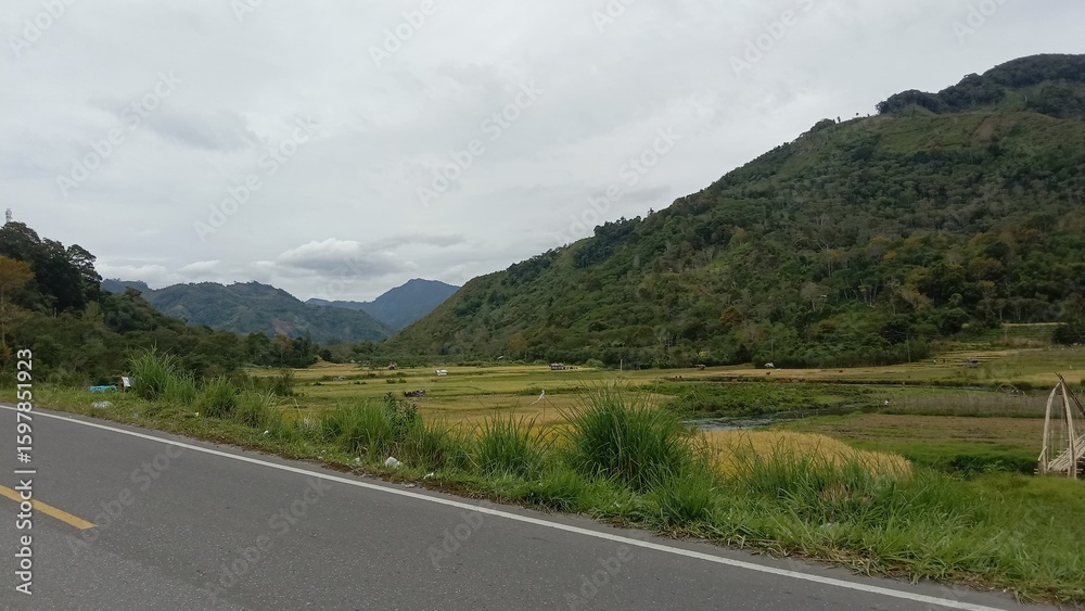 Naklejka premium Lush Mountain Landscape with Rice Fields and Cloudy Sky, Roadside View.