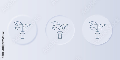 Grey Plant breeding icon isolated on grey background. Plants growing in the test tubes. Organic food ,agriculture and hydroponic. Set icons in square buttons. Vector