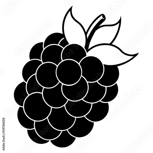 Blackberry  fruit vector illustration perfect for posters, icon, t-shirts, cards, wall art prints and ai design.