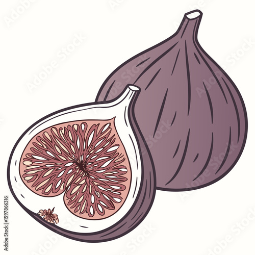 Fig  fruit vector illustration perfect for posters, icon, t-shirts, cards, wall art prints and ai design.