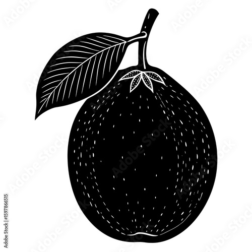 Guava 