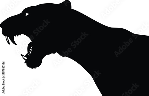 silhouette of a bear