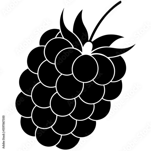 Raspberry  fruit vector illustration perfect for posters, icon, t-shirts, cards, wall art prints and ai design.