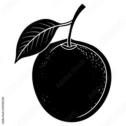 Sapodilla   fruit vector illustration perfect for posters, icon, t-shirts, cards, wall art prints and ai design.