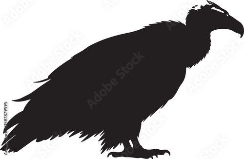 Egyptian bird in silhouette.