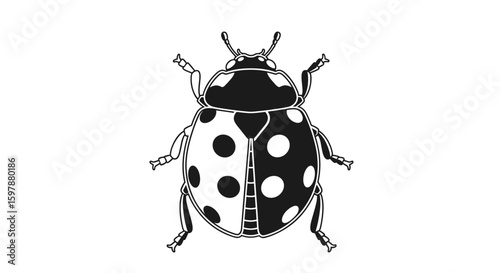 Intriguing ladybug illustration featuring yin yang symbolism and unique spotting pattern