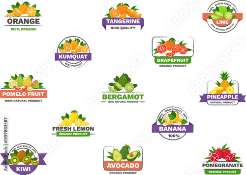 Set of citrus fruit logos - minimal flat vector illustrations on white background