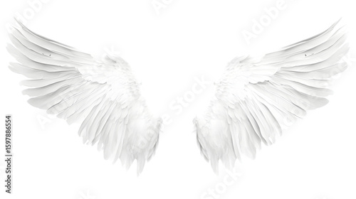 Beautiful Angel Wings Isolated on White Background with Transparency