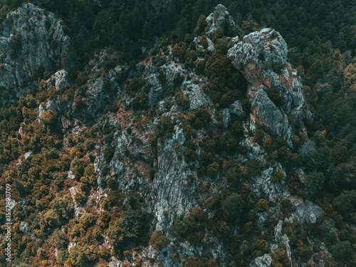 Autumn Mountain Landscape