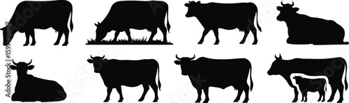 Cow silhouette vector set showing eight different poses including standing, grazing, resting and mother-calf combination—ideal for farm animals, nature and countryside themes vector template flat grap