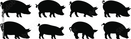 Pig silhouette vector set featuring eight farm animal poses including standing and bending—ideal for countryside graphics, butcher branding and agriculture themes vector template flat graphics design 