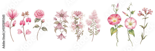 Graceful Watercolor Collection of Pink Magnolias, Bleeding Hearts, Clematis, and Morning Glories, Perfect for Romantic Floral Designs