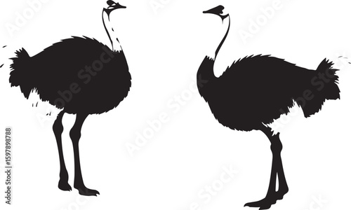 Ostriches in Silence in silhouette.
