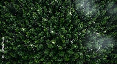 Aerial View of Forest with Connected Dots – Environmental Technology, Nature and Innovation, Eco-Friendly Concepts