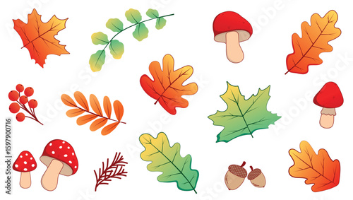 Bright and colorful vector set of autumn elements on a white background. It includes a variety of leaves, branches with berries, mushrooms, a fir branch and acorns. It is ideal for creating autumn des