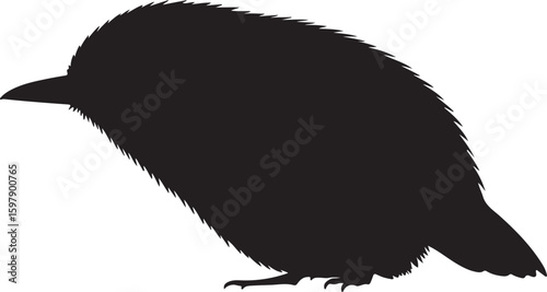Vector image of Blue Cheeked Bee-Eater in silhouette