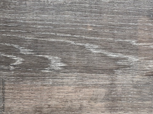 Texture of old wood background from nature
