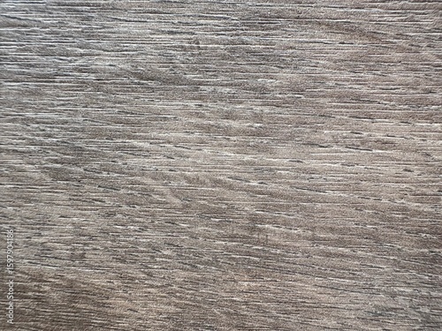 Texture of old wood background from nature