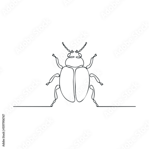 Continuous line drawing of beetle on white background