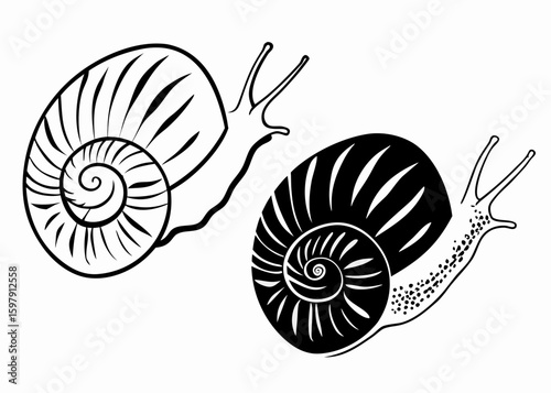 Two snails  line art vector silhouette illustration